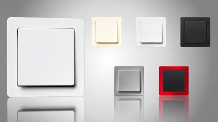 Розетка з заземлюючим контактом, 16А/250В, алюміній, Berker «Q.1» «Q.3» «Q7» 4